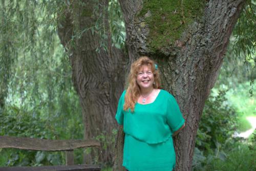 Online kennismakingsgesprek